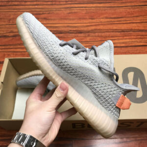 Adidas Yeezy Boost 350 V2 True Form EG7492 For Sale