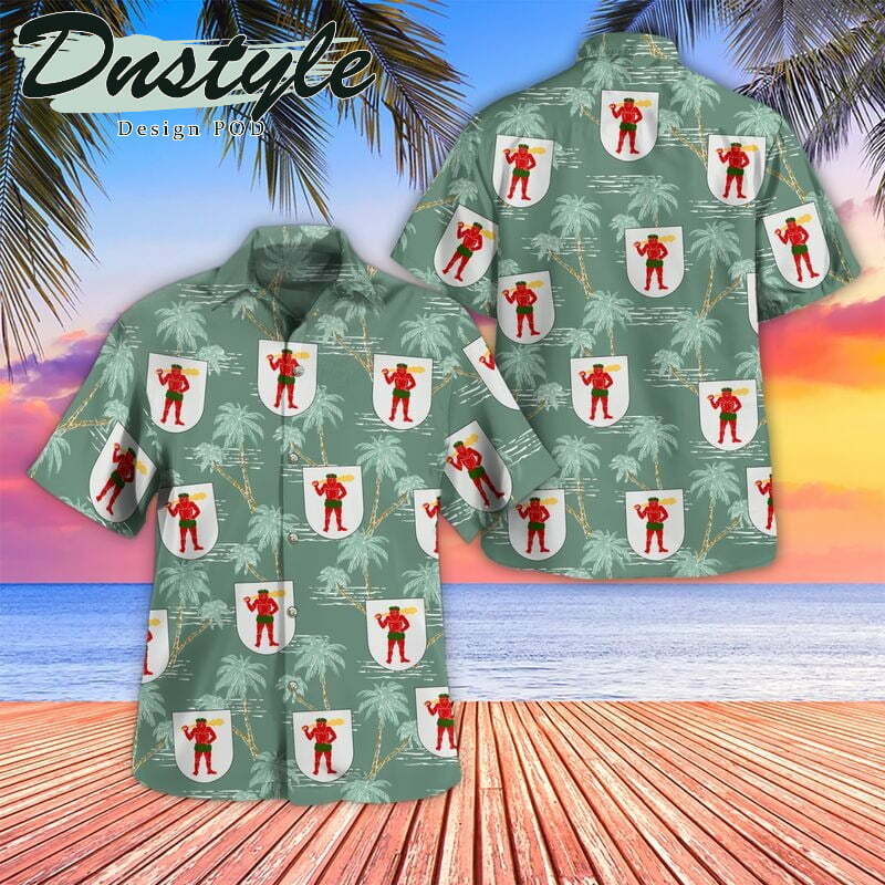 Finland Lapland Hawaiian Shirt Outfit Summer Beach