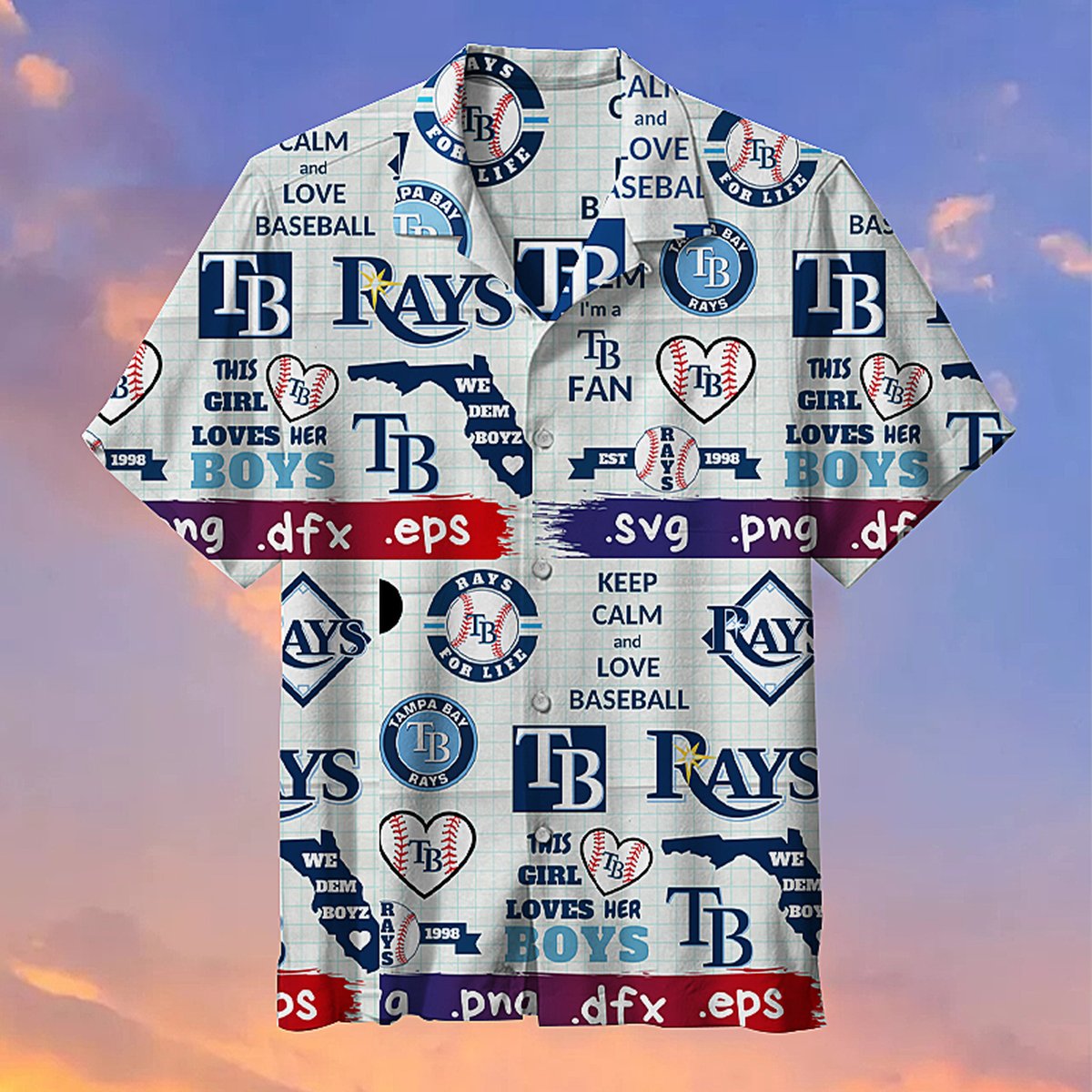 Tampa Bay Rays Hawaiian Shirt Outfit Beach Summer